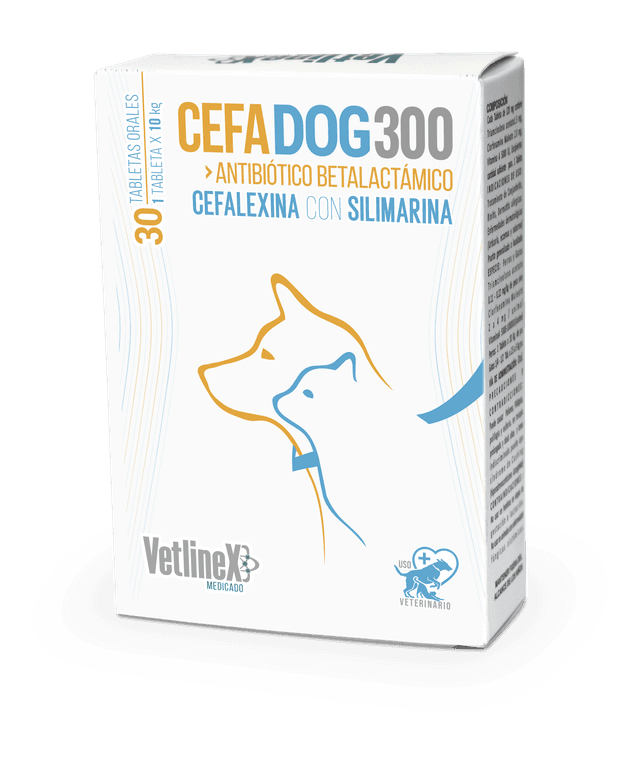 CEFADOG 300 CAJA