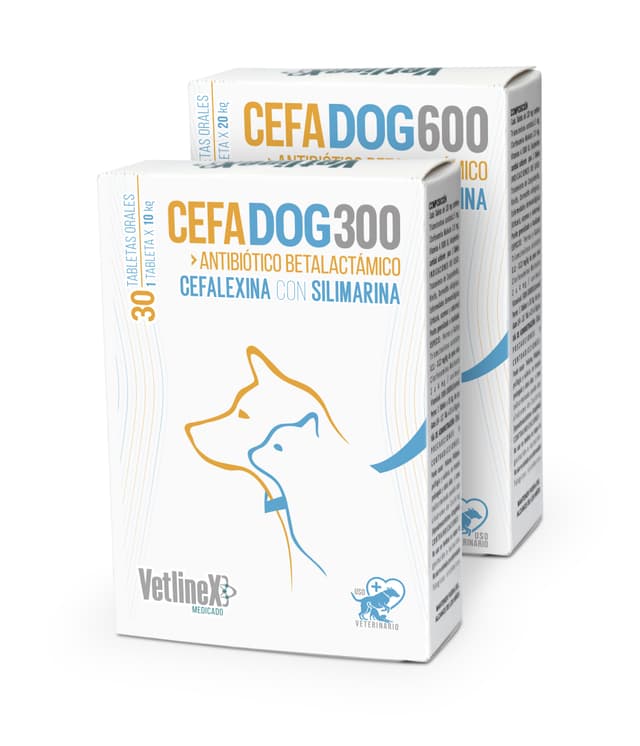 CEFADOG NEW