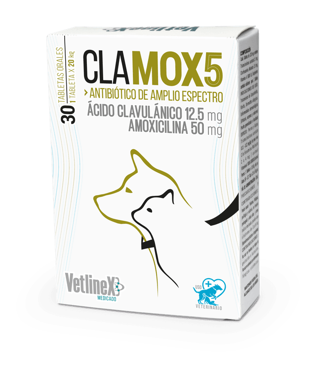 CLAMOX 5 CAJA