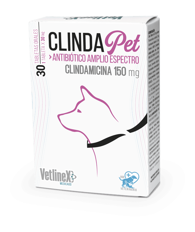 CLINDAPET CAJA