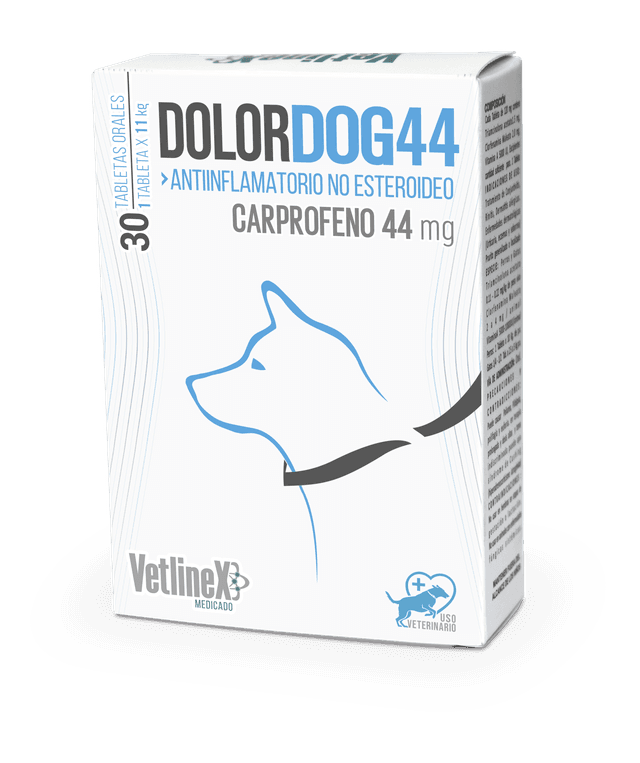 DOLORDOG 44 CAJA