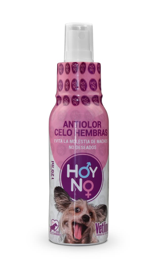HOYNO 1